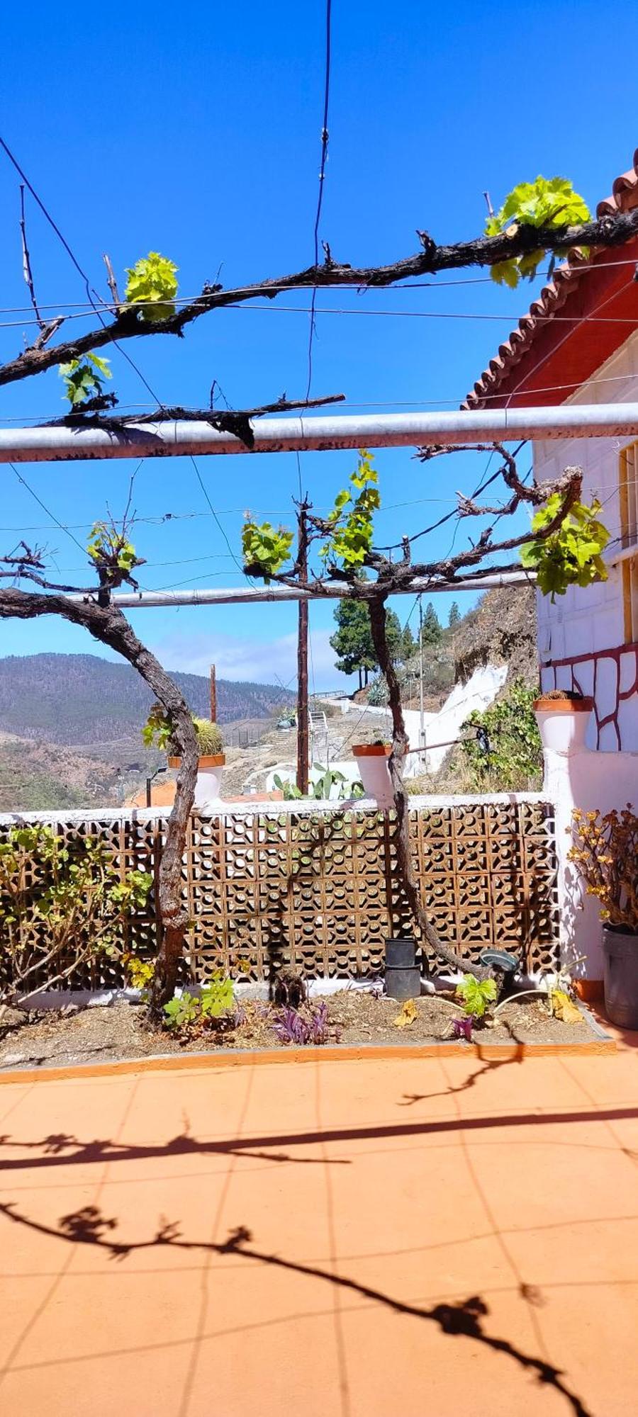 Casa Cueva Rural Trebola, Artenara Juncalillo Kültér fotó